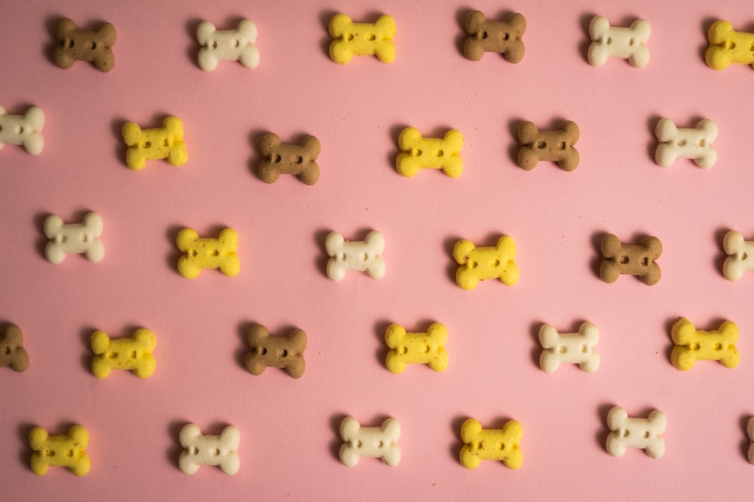 Top 10 Best Pet Toys for Happy and Healthy Pets